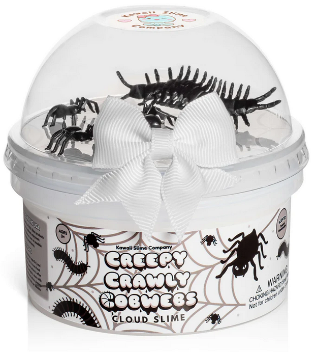 Creepy Crawly Cobwebs
