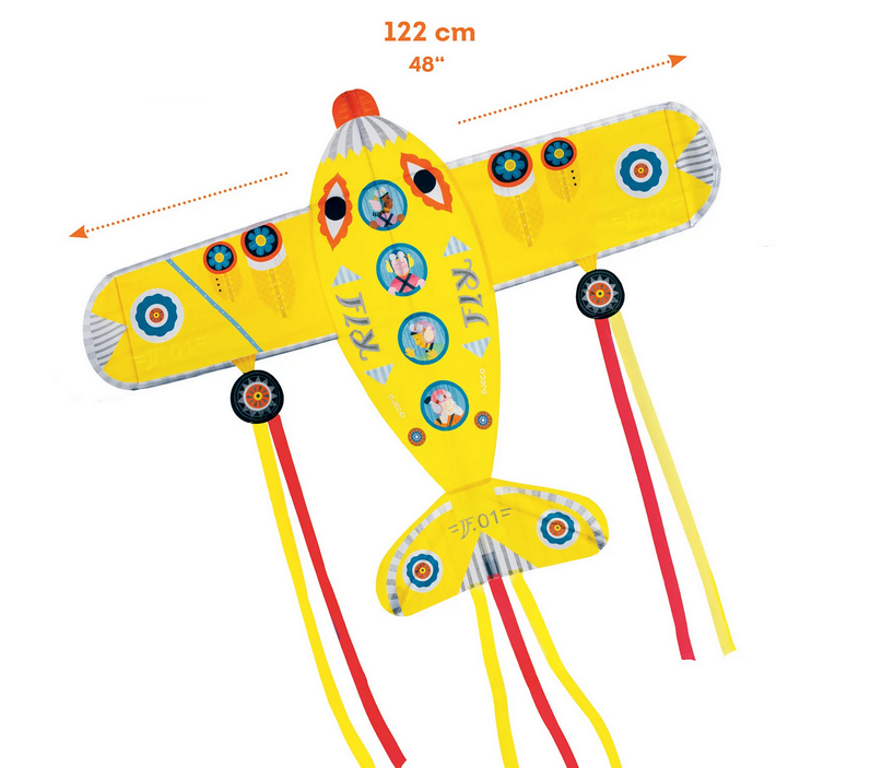 Maxi Plane Kite