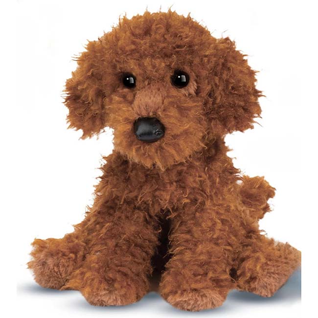 Ginger Minature Poodle