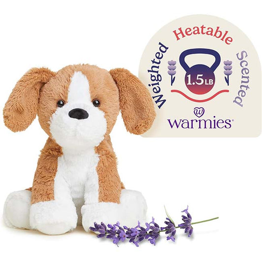 Beagle Warmie