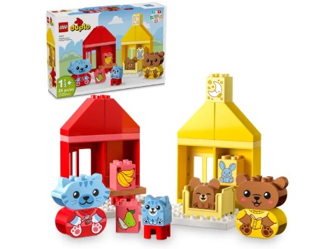 Xdaily Routine Eating N B