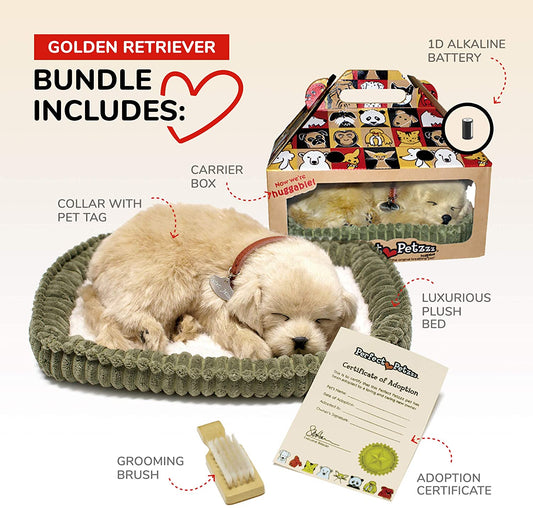 Golden Retreiver