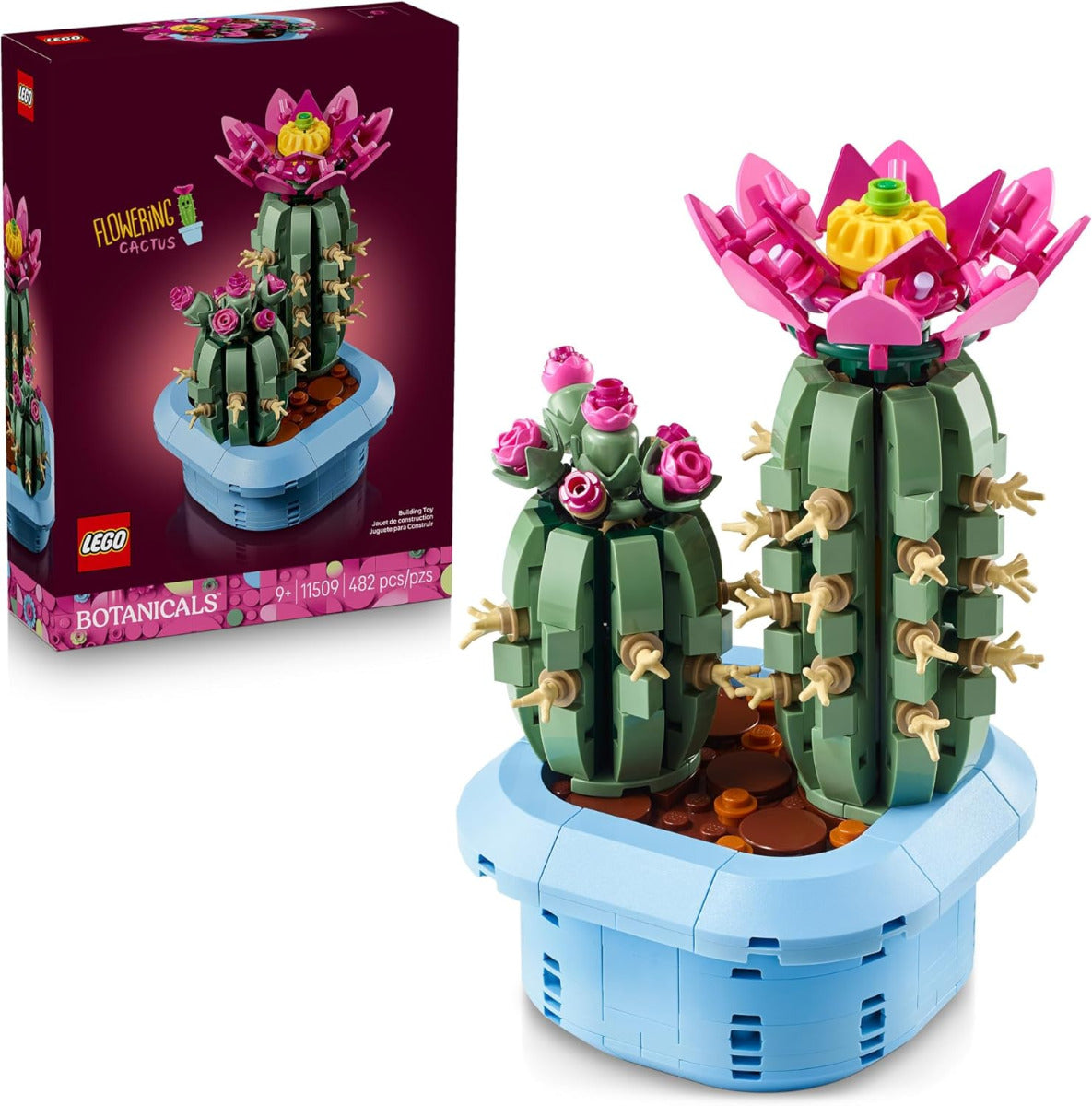 Flowering Cactus