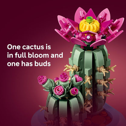 Flowering Cactus