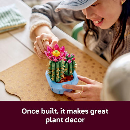Flowering Cactus