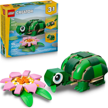 Turtle with Lily Flower
