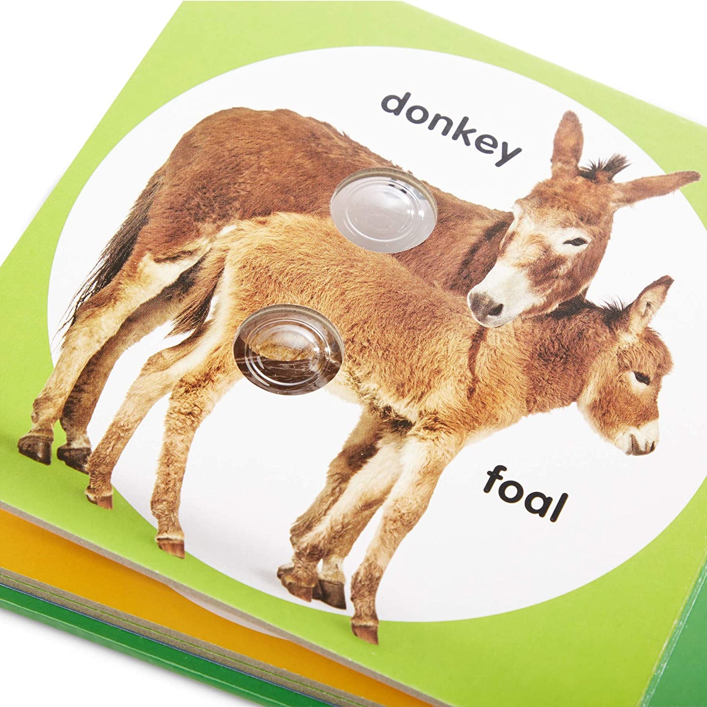 Poke-a-Dot Farm Animal