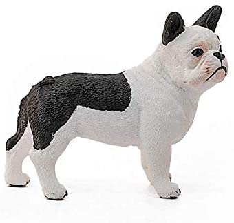 Xfrench Bulldog