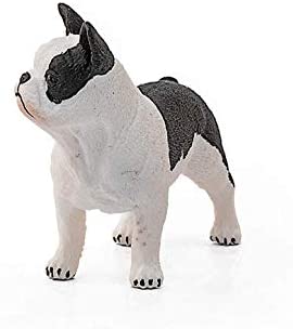 Xfrench Bulldog