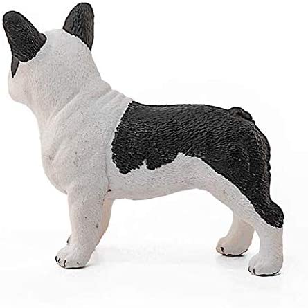 Xfrench Bulldog