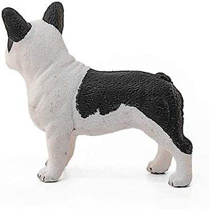 Xfrench Bulldog