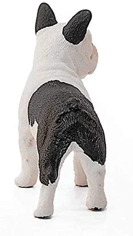 Xfrench Bulldog