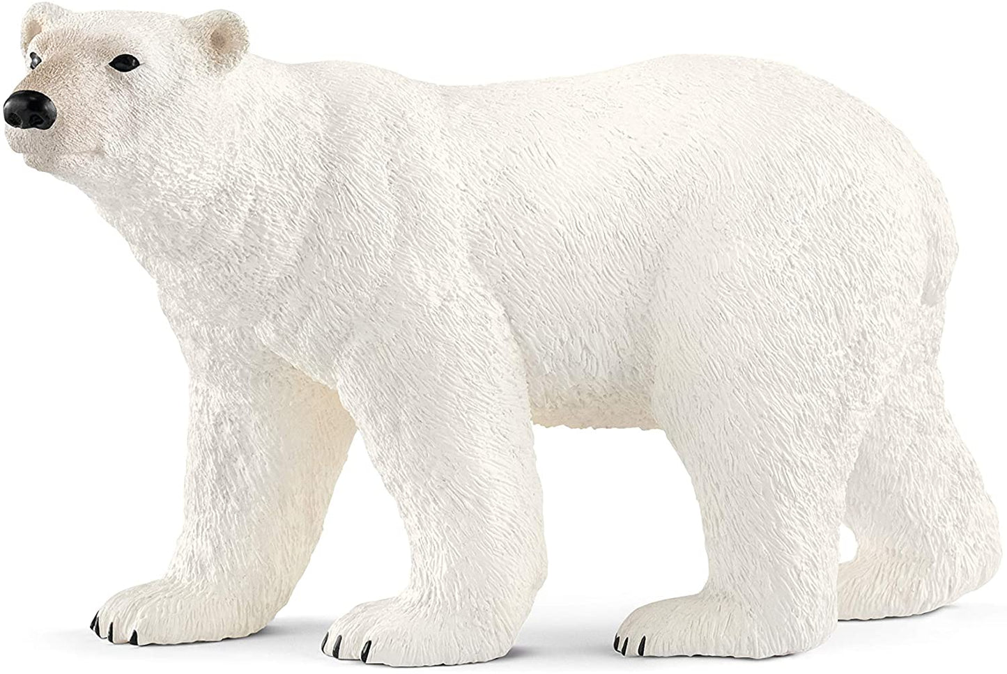 Xpolar Bear
