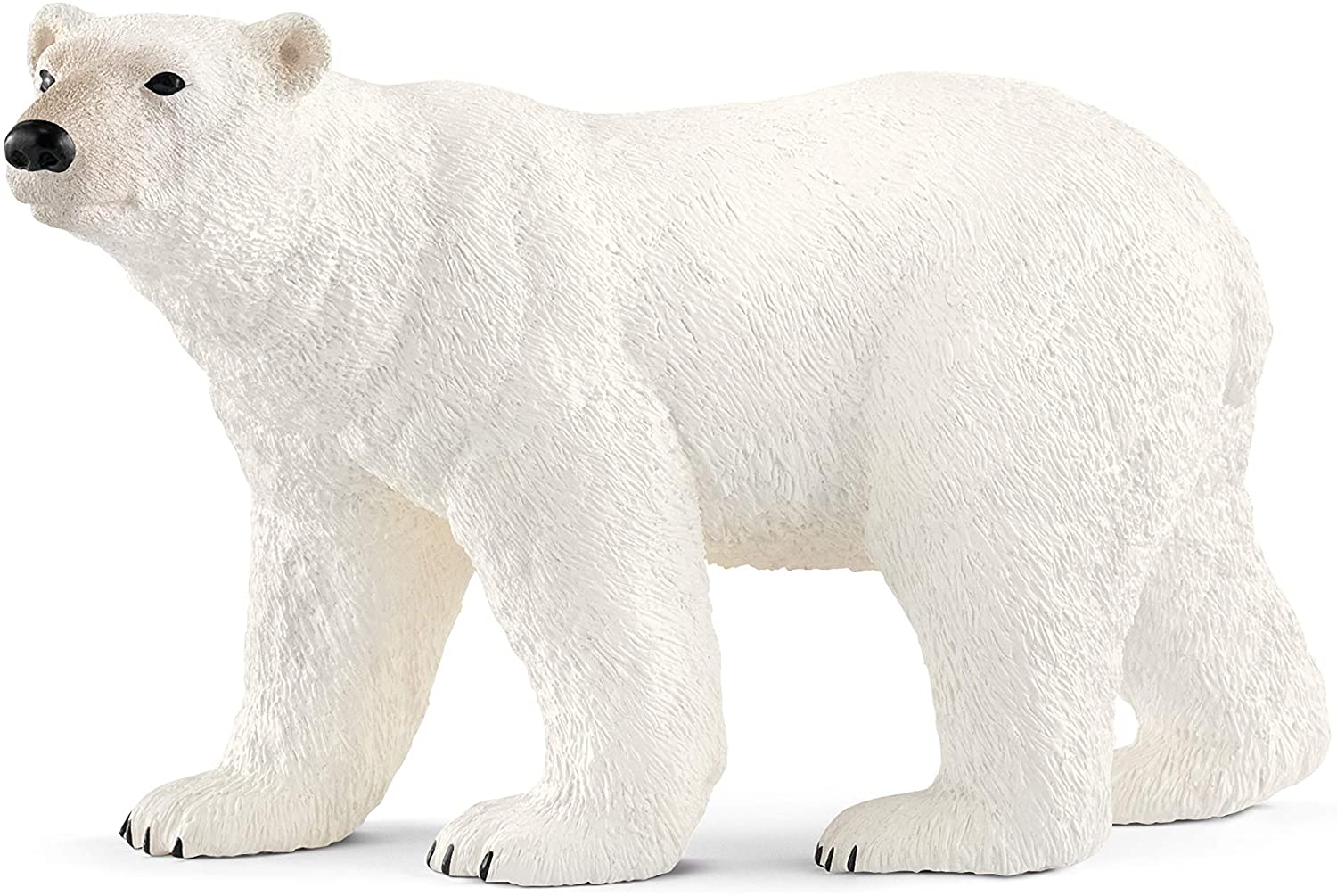 Xpolar Bear