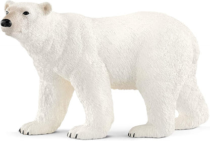 Xpolar Bear