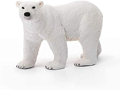 Xpolar Bear