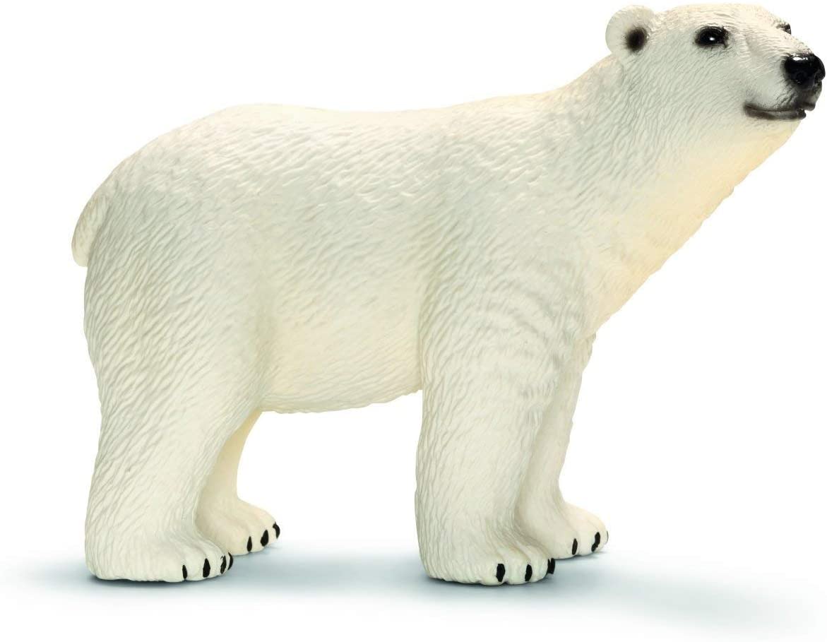 Xpolar Bear