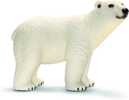 Xpolar Bear