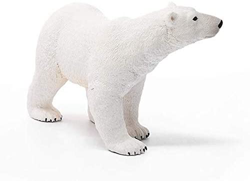 Xpolar Bear