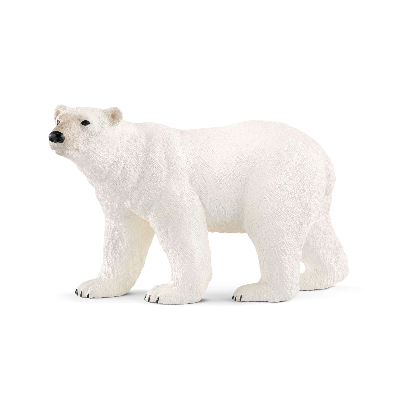Xpolar Bear