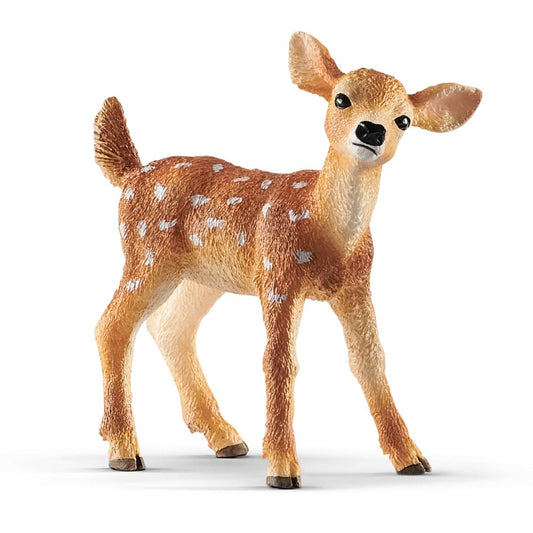 Fawn