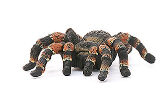 Xtarantula
