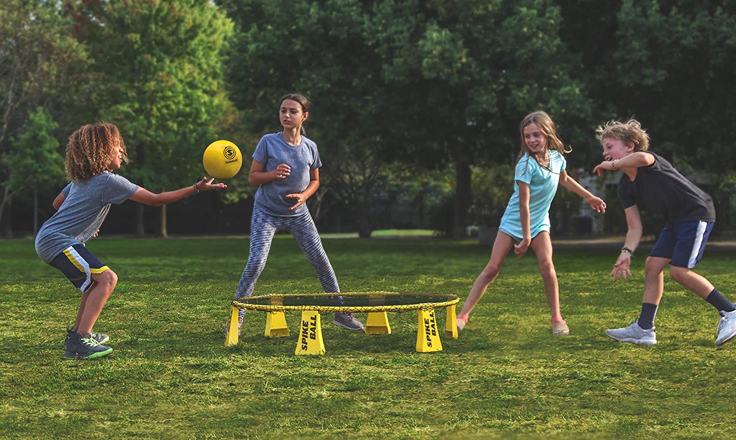 Spikeball Rookie