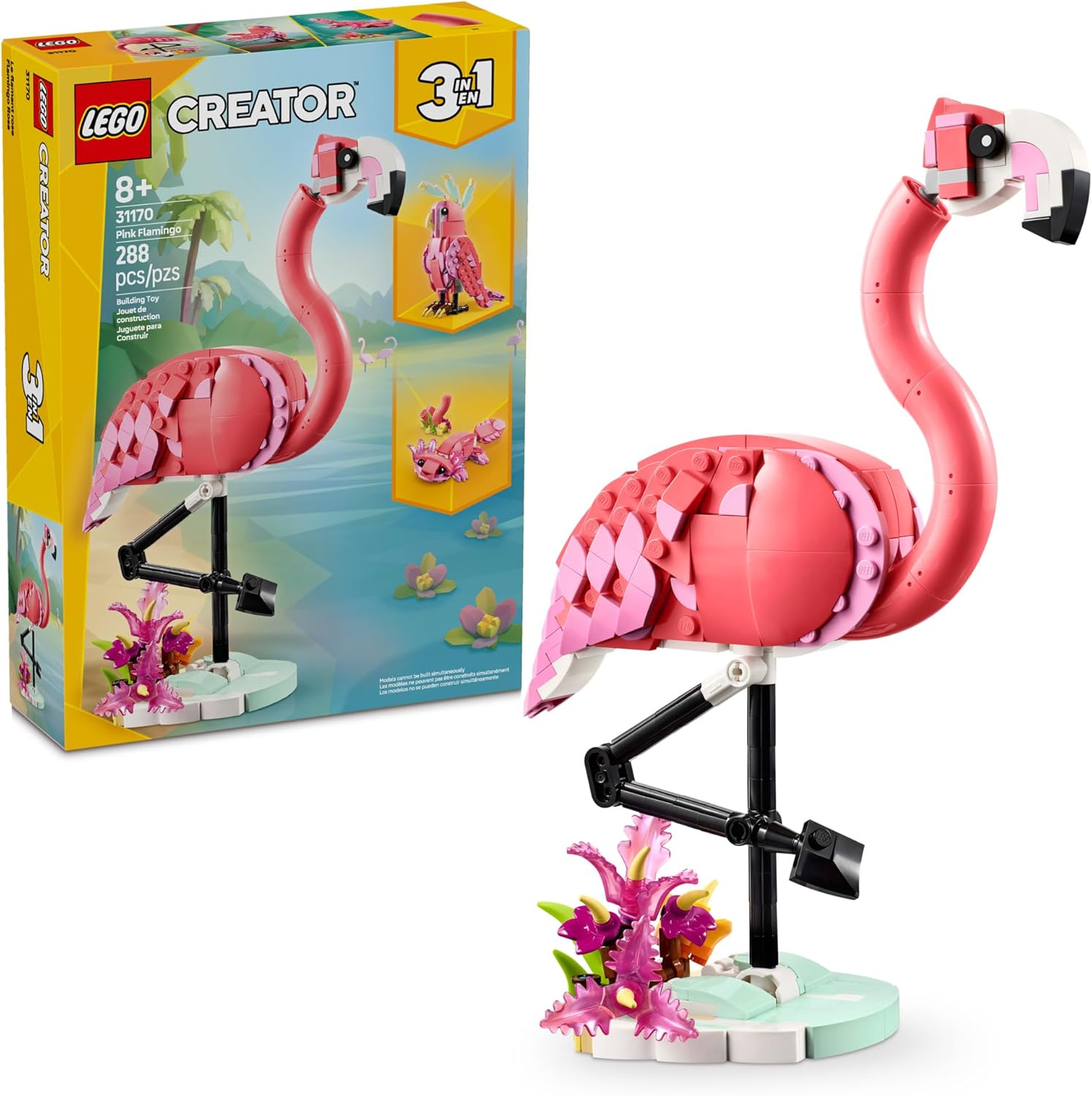 Wlid Animal Pink Flamingo