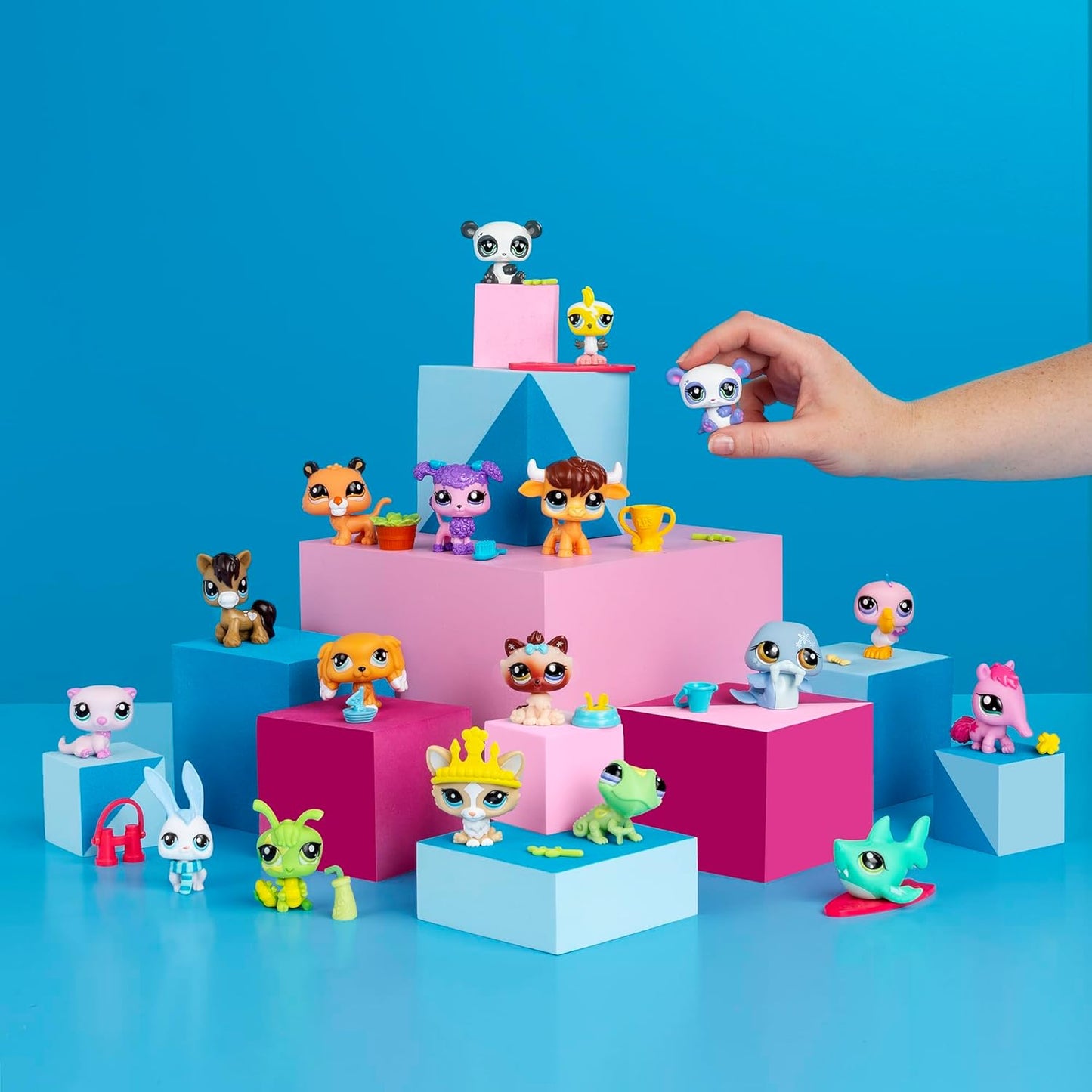 Littlest Pet Shop Single