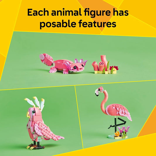 Wlid Animal Pink Flamingo
