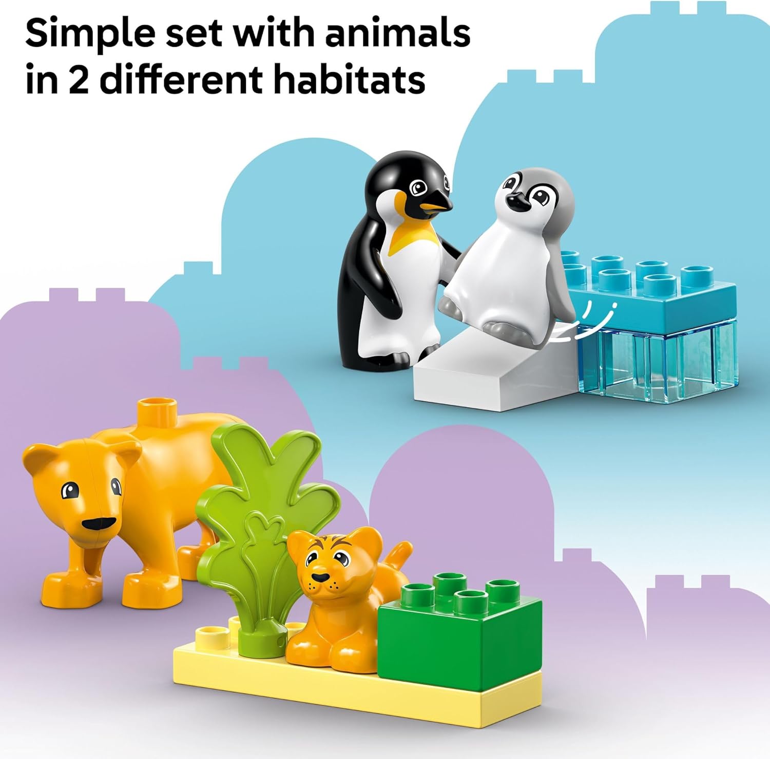 Penguin & Lion Families