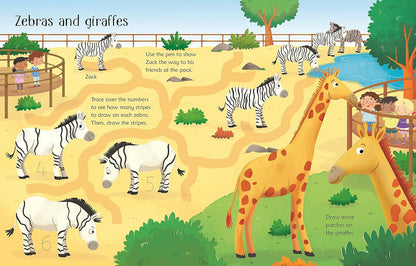 Xwipe Clean Zoo Activity