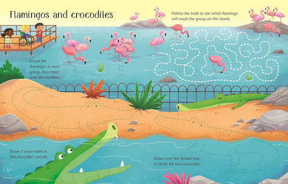 Xwipe Clean Zoo Activity
