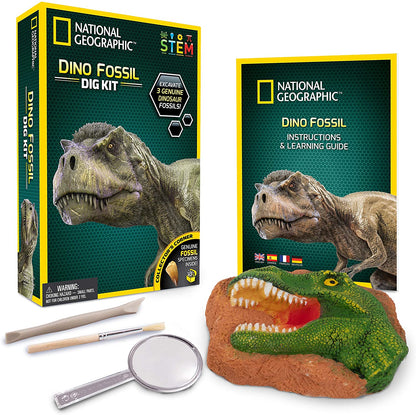 Dino Fossil Dig Kit