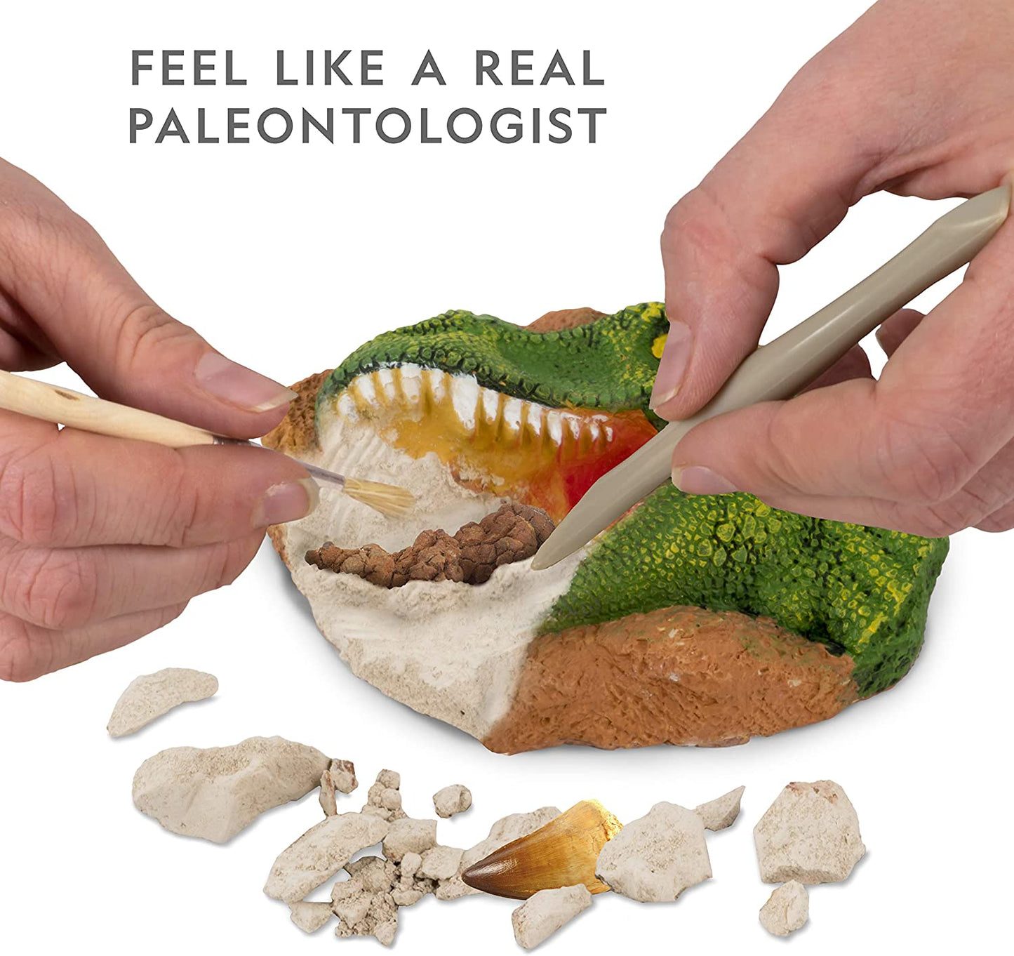 Dino Fossil Dig Kit