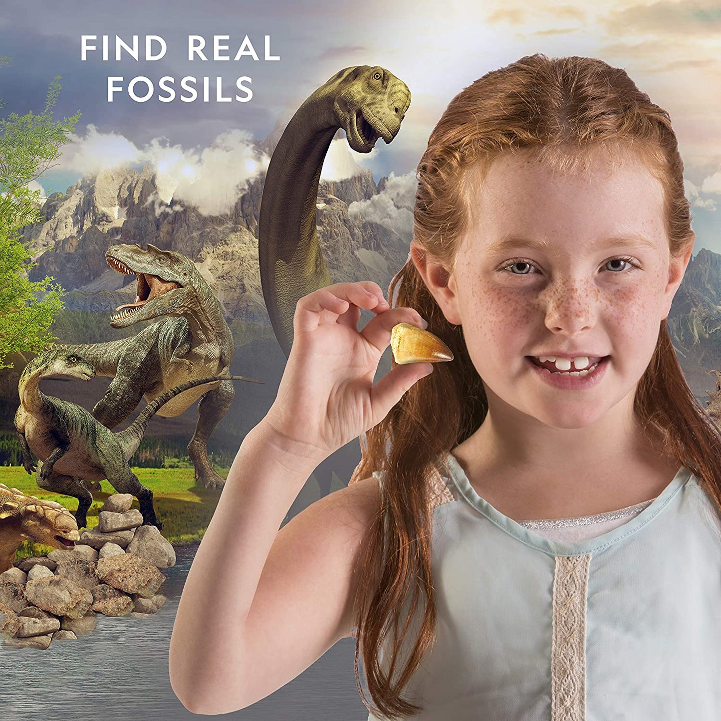 Dino Fossil Dig Kit
