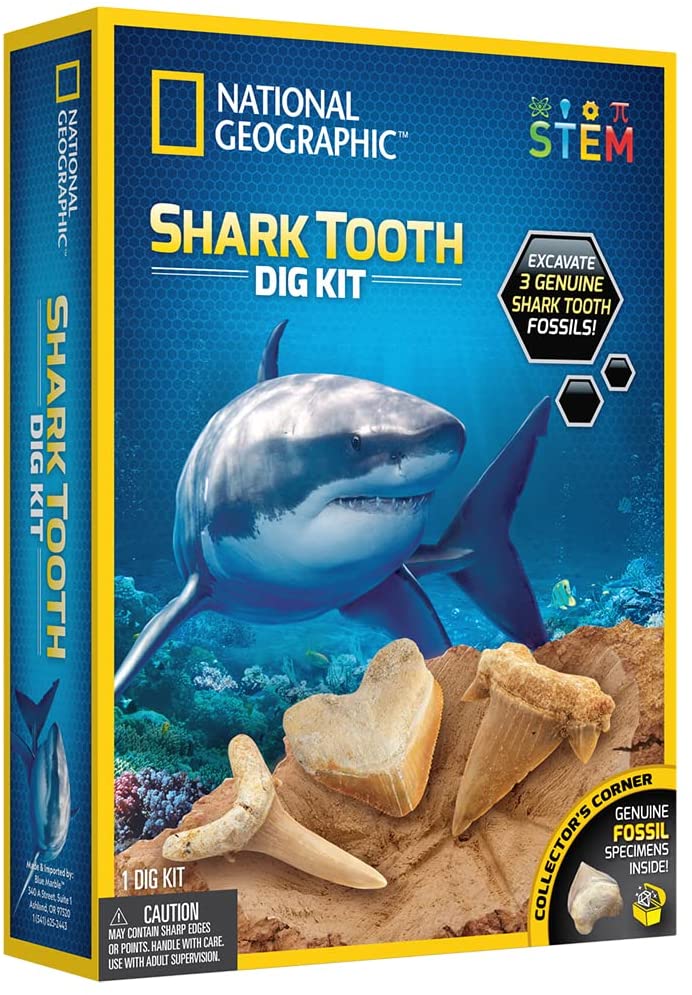 Xshark Tooth Dig Kit