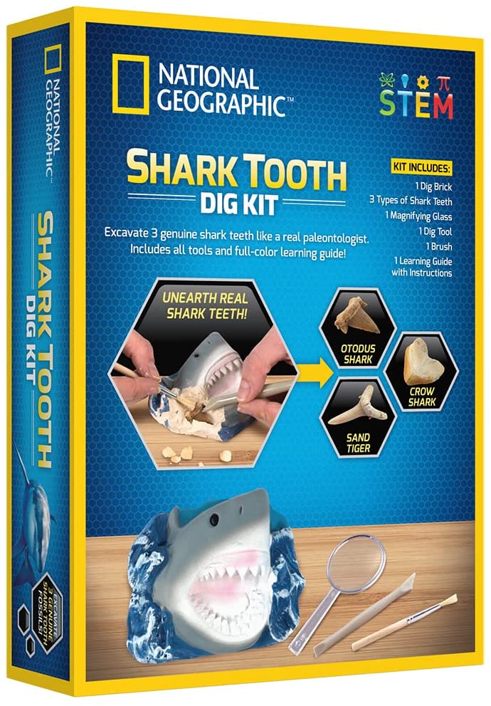 Xshark Tooth Dig Kit