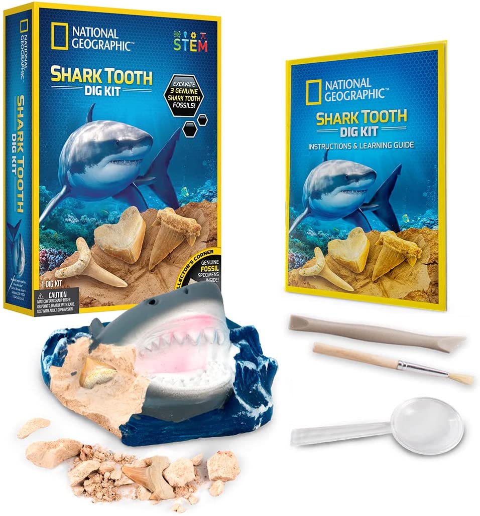 Xshark Tooth Dig Kit
