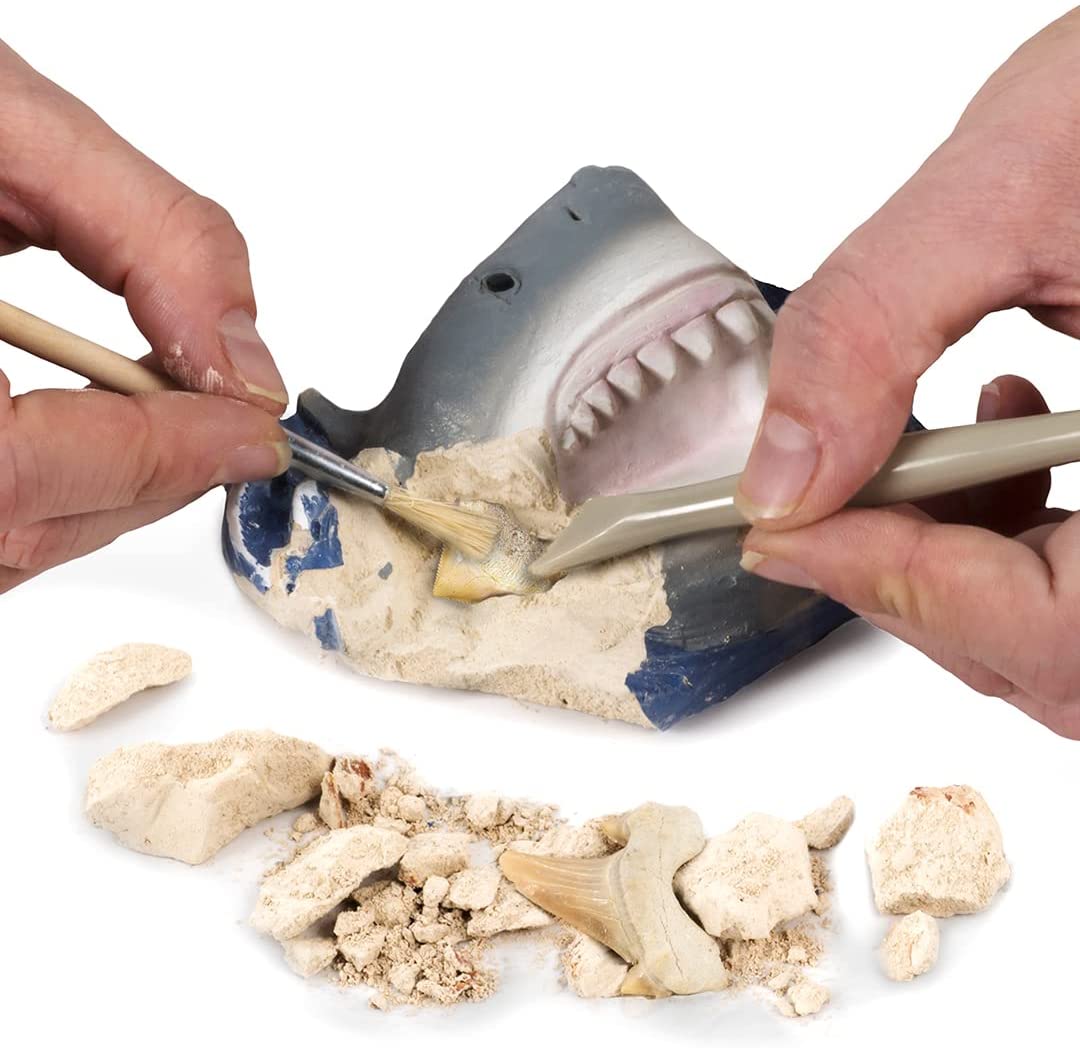 Xshark Tooth Dig Kit