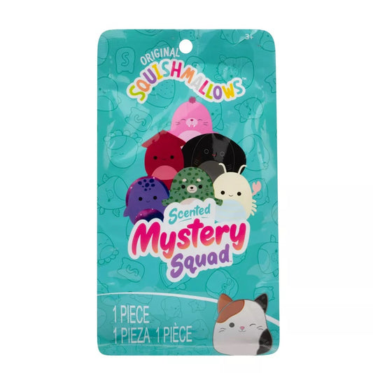 Mystery Bags Fa24