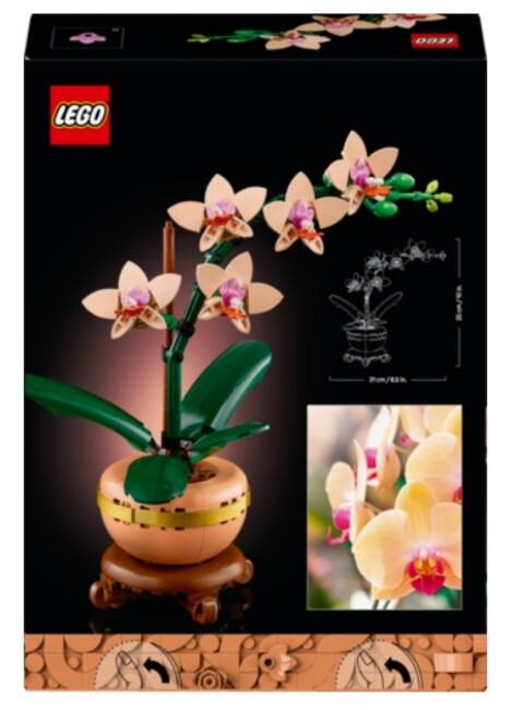 Mini Orchid