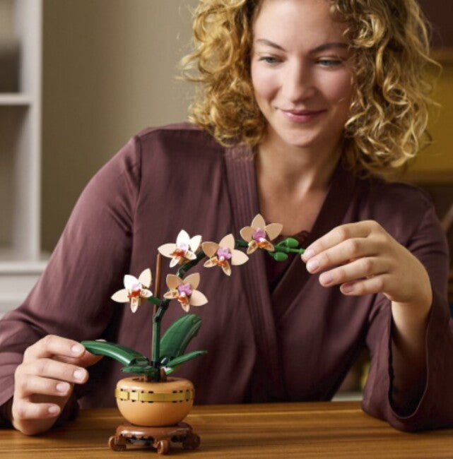 Mini Orchid