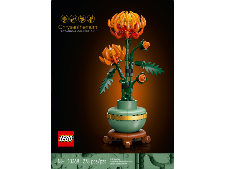 Chrystanthemum